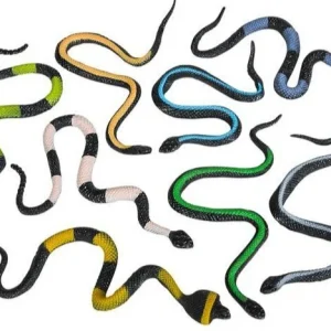 Snakes, 8 Inch (Set of 12)