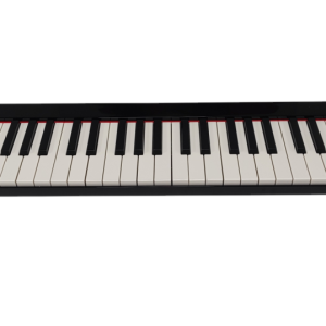 Teclado Parquer 49 Teclas Portatil Bluetooth