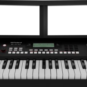 Teclado Organo Electronico Roland Arranger E-x10 61 Teclas